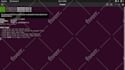 build apis with nodejs express and mongodb