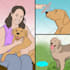 illustrate storyboard style facebook ad