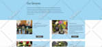 build wix website design, redesign, wix studio, wix website development, wix seo