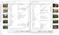 image optimization and geotagging for super local SEO