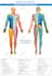 create anatomy, medical, and scientific illustrations