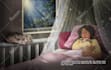 illustrate your whimsical childrens book