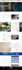design redesign business wordpress website development with elementor, divi