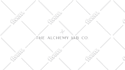 do minimalist business logo design and branding kit or brand style guide