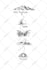 hand draw maps in black and white style for books, ebooks