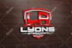 design car racing and automotive logo