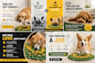 design pro social media posts, ads, logo, flyers, and canva templates