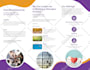 professional brochures, company profiles, bifold and trifold brochures