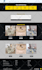 build or customize a wordpress website for your business