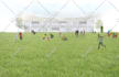 render your plan, section, elevation, site plan, master plan