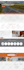 clean and modern wordpress website design , business wordpress website design