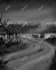 do illustration and concept art
