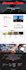 create a professional wordpress website design or blog