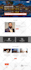 do professional wordpress website development and redesign