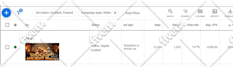 do organic youtube video promotion with google ads
