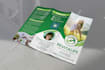 do creative trifold bifold brochure design