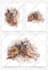 draw a watercolor pet portrait from your photo
