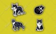 design die cut stickers, patch, round badge, label, and logo