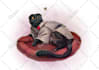 draw pet cat animal in anime or furry style