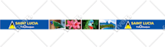 create product label design food packaging mylar bag pouch can box or mailer box