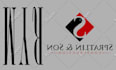 vector tracing, convert logo to vector, raster to vector