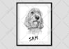 draw digital scribble pet portrait