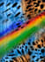 do textile fabric design and seamless pattern