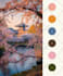 deliver professional adobe illustrator design in 24h