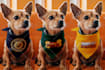 turn your ideas into dazzling print on demand tshirts