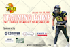 eye catching flyer and poster design