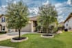 edit real estate images sky replacement, green grass