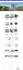 wordpress website design with custom UI UX design