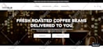 design and develop a high converting shopify website