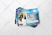 do professional flyer design