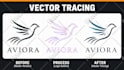 manually vector trace, vectorize, redraw, or recreate your logo