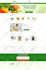 do ecommerce website and online store with woocommerce