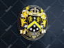 design coat of arms regal heraldic family crest logo