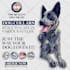 design creative facebook ads design