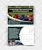 professional business flyer design one pager sales sheet marketing material