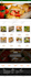 customized wordpress woocommerce store