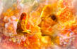 create cinematic photo manipulation and surreal photoshop artwork