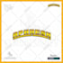recreate, remake, spoof, nostalgic parody logo with your name