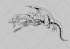 draw concept art for characters, dragons and monsters