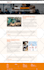 design, redesign, build, clone revamp wordpress website development by elementor