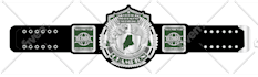 design replica wrestling belts and custom championship belts