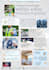 design a professional infographic for ngos and organizations