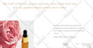 fix wordpress problems and errors