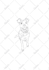 create a custom pet portrait in fine line art, jpg png svg