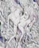 do illustration expresionism art, graffity, abstract