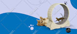 design website product banner, shopify banner or web slider